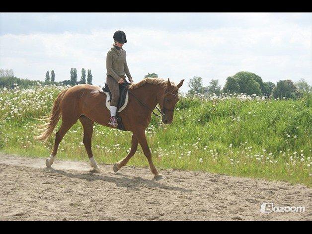 Anden særlig race Fiona (uforglemmelig <3) (solgt :( billede 10