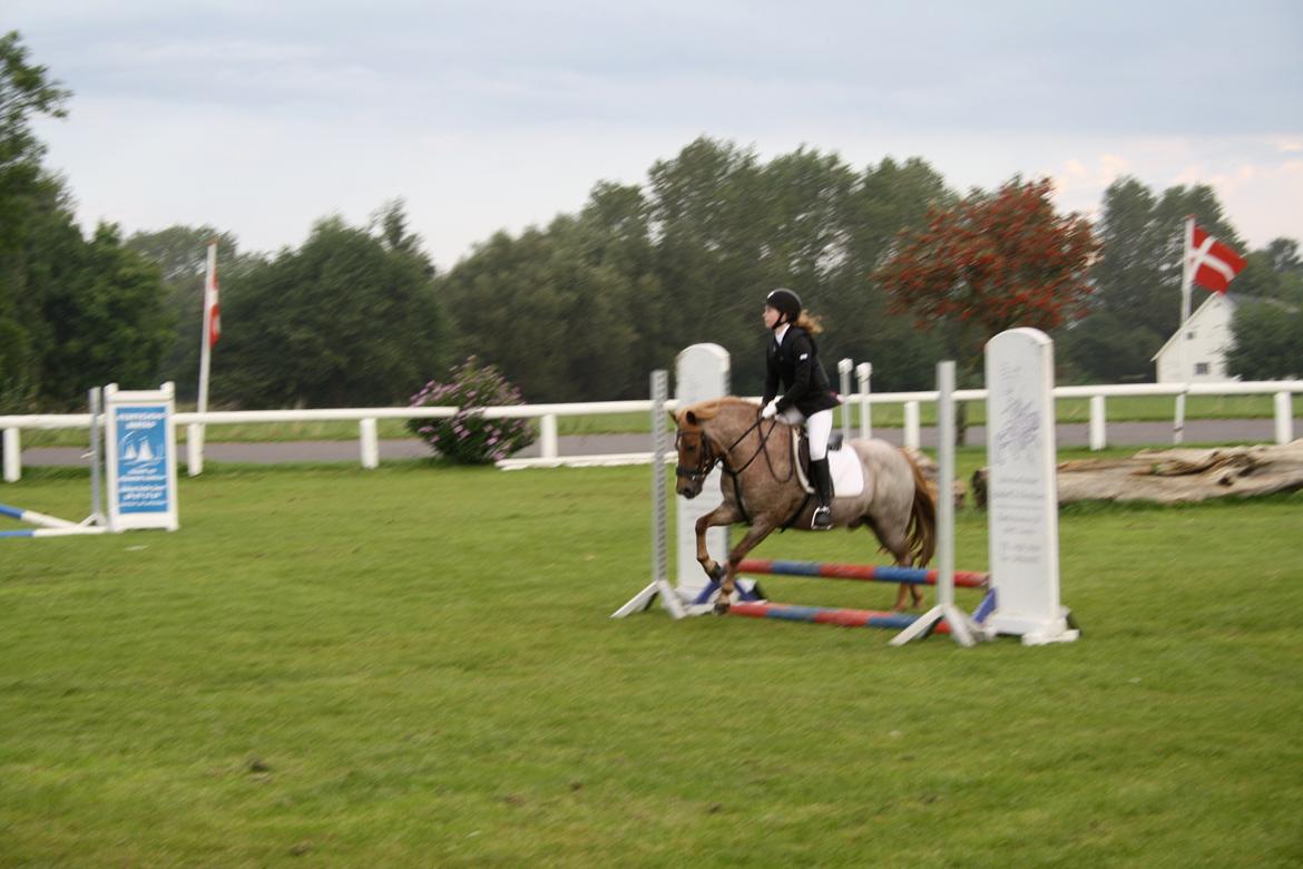Anden særlig race Baloo - Springstævne billede 4