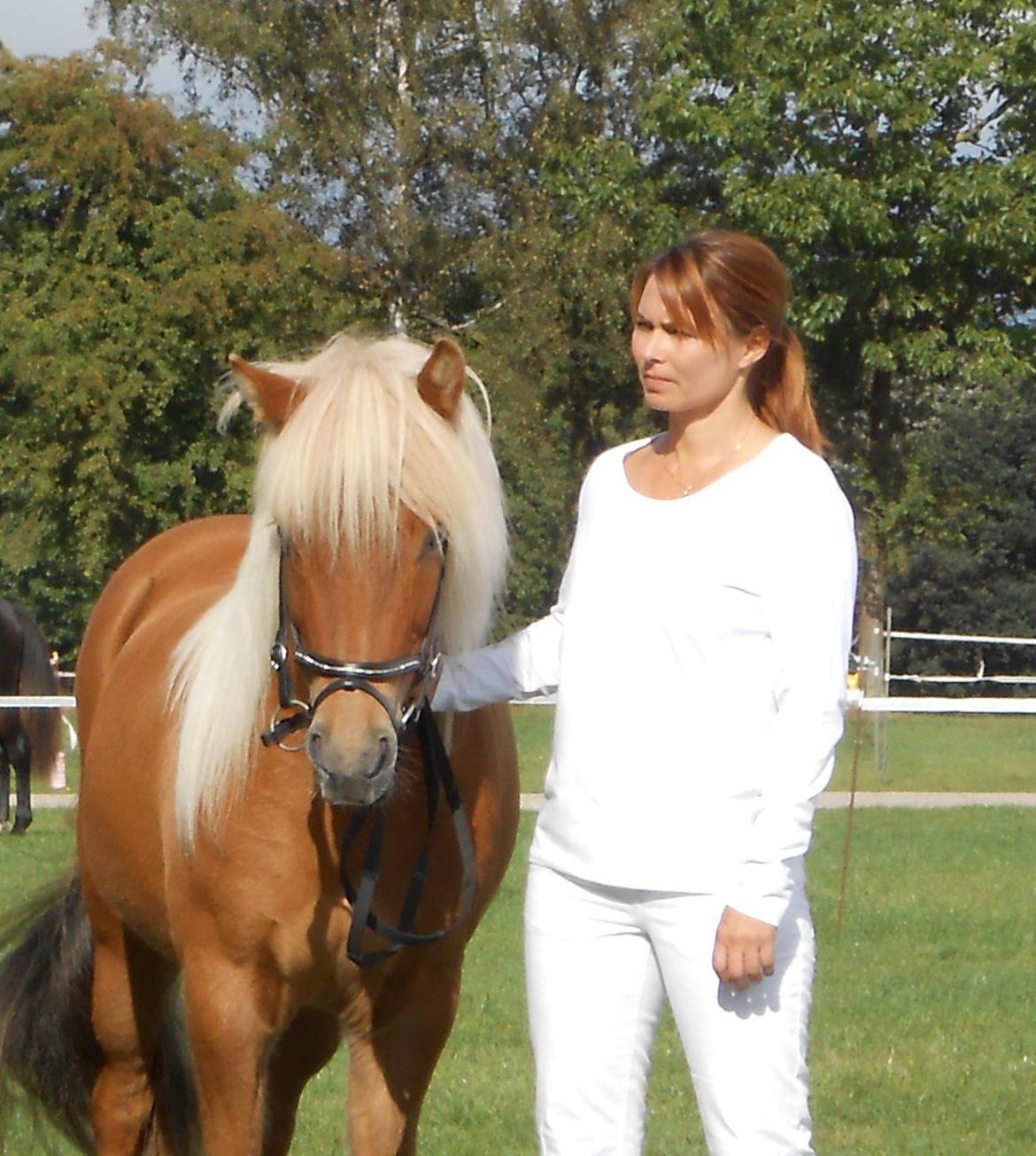 Islænder Joi fra Tyvekrogen - Store hestedag 2012 billede 14