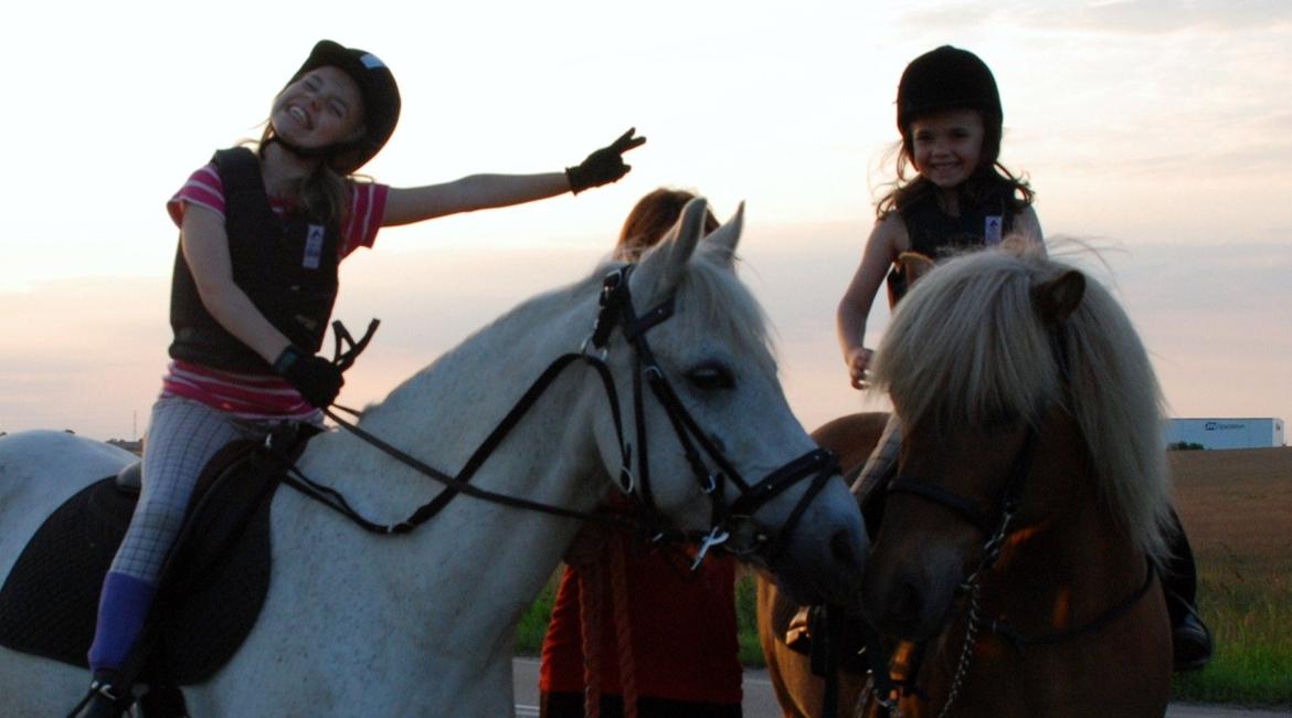 Islænder Joi fra Tyvekrogen - Joi og Super på tur med Naya og Selina billede 15