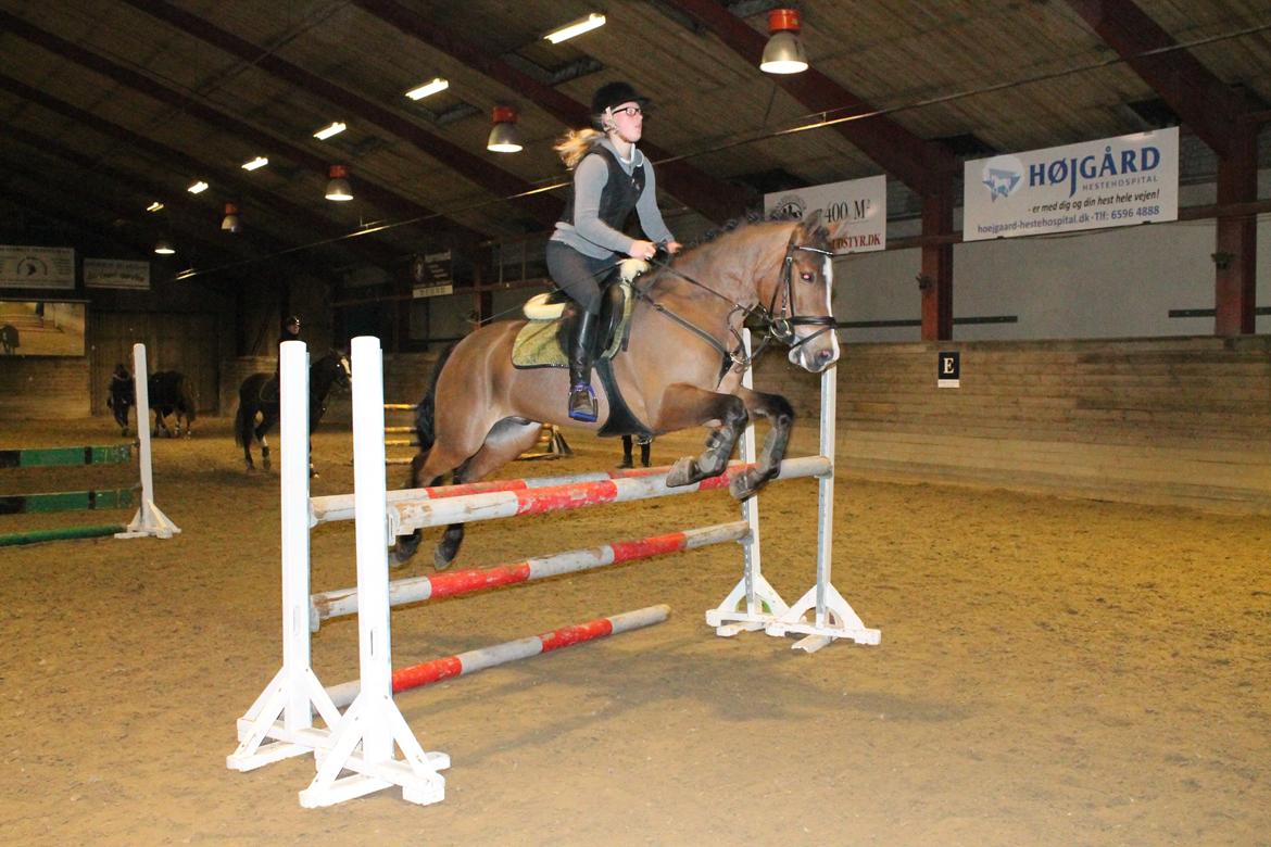 New Forest Egeballes Petroleum billede 2