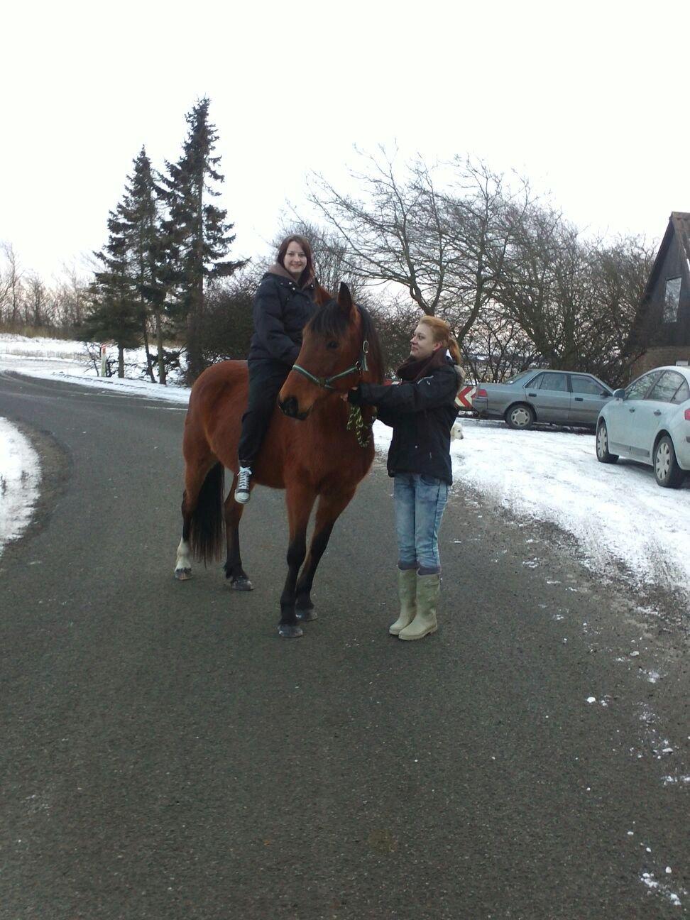 Traver Magic Leaf - Min første tur oppe på min skønne hest <3  billede 3