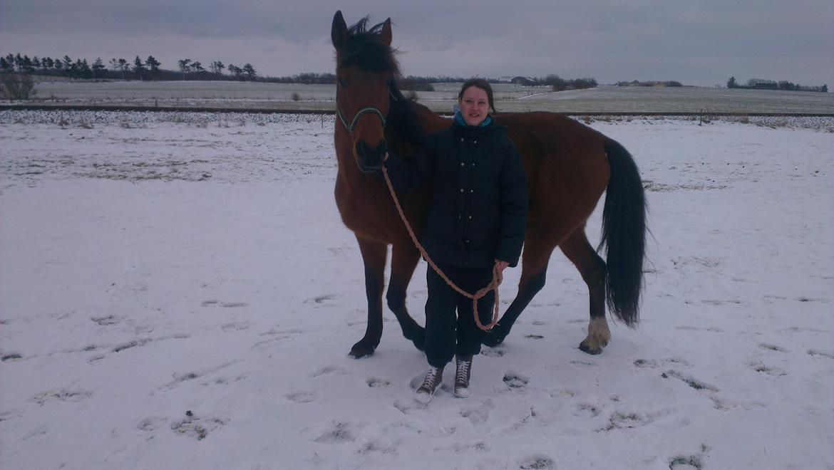 Traver Magic Leaf - Magic og mig.. min dejlige hest <3 billede 6