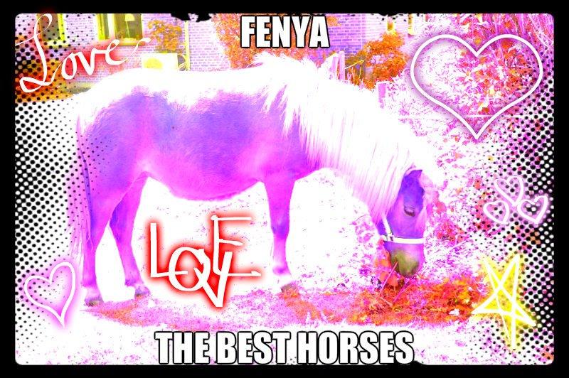 Anden særlig race Fenya billede 1