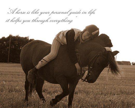 Anden særlig race | MISCHA - Vil aldrig glemme tiderne med dig..<3 billede 1