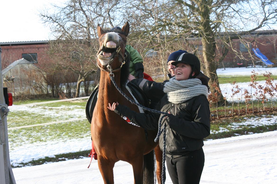 Anden særlig race Hope - 10/02 Smiiiiil !  billede 17