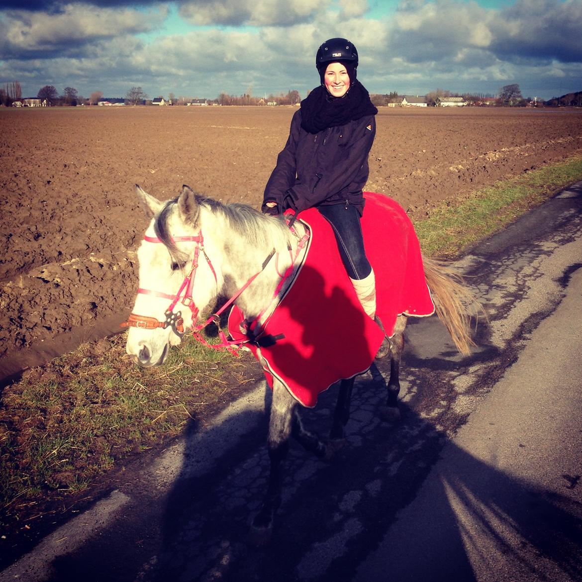 Anden særlig race India - India og Nanna januar 2013 billede 12