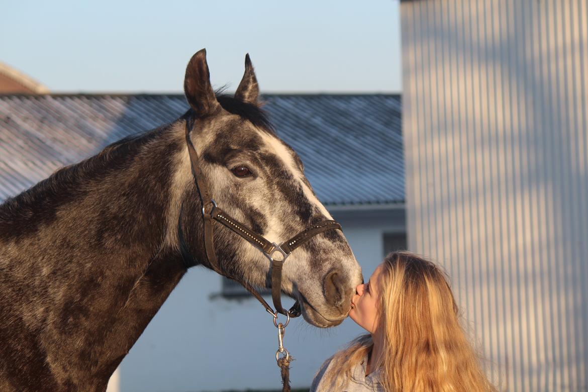 Anden særlig race Cortes |Min bedre halvdel| <3 - En sand ven er som en langsomvoksende plante, vi rykker os hver dag en lille smule. Jeg elsker dig. <3  billede 20