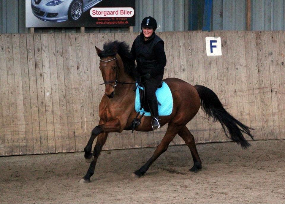 Holstener Flair - En skøn galop, på en rigtig skøn hest..=) billede 4