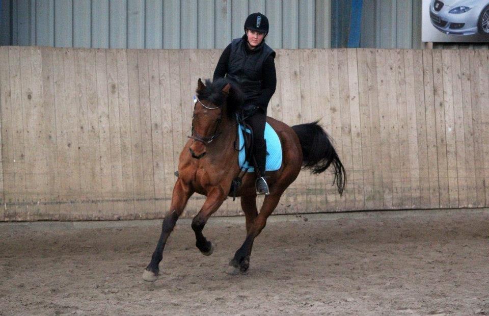 Holstener Flair billede 16