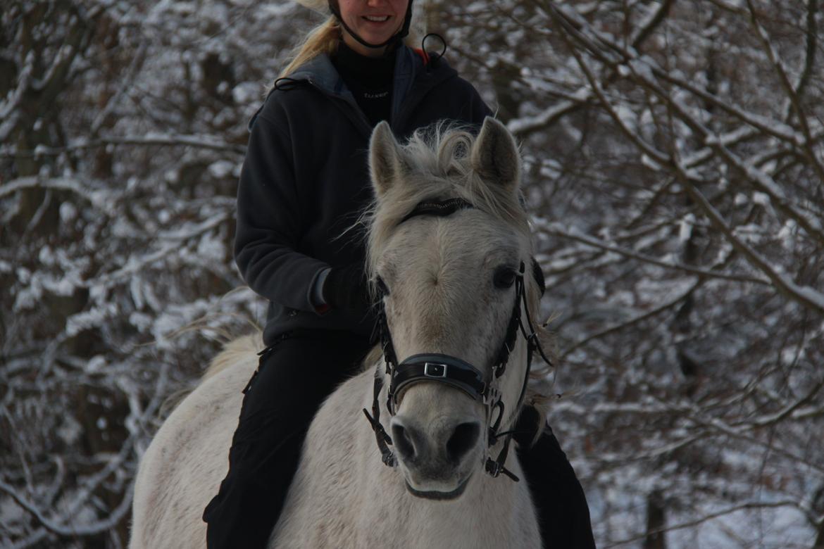 Anden særlig race Chiara - Glad rytter og glad hest ;) [taget af Vibse] billede 18