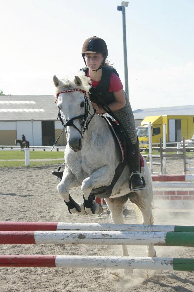 Welsh Pony (sec B) Lyngvejens Eliza (SOLGT) Savnet ? - Vi har haft nedture og opture, men du blev ved med at kæpe når vi var nede. <3  billede 7