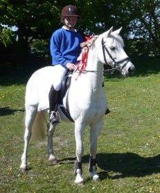 Welsh Pony (sec B) Lyngvejens Eliza (SOLGT) Savnet ? billede 14