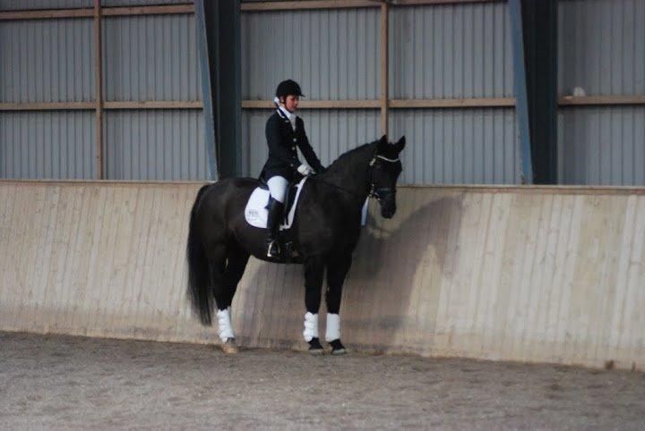 Oldenborg Evita af Hvarre billede 14