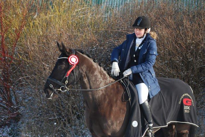 Oldenborg Evita af Hvarre billede 9