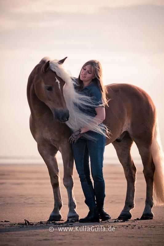 Haflinger WELTENSTOLZ - Billedet er taget af vor-die-linse og flere billeder kan ses på kullagulla.de billede 13