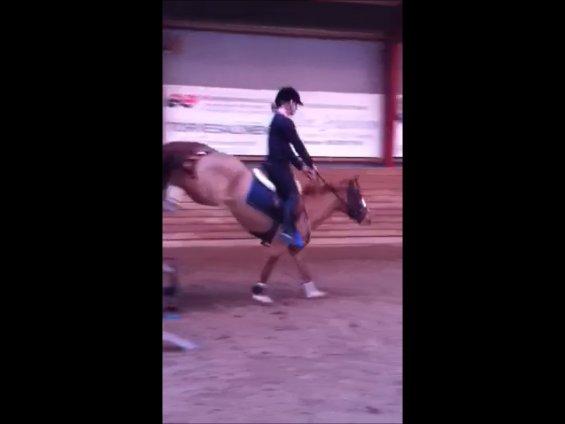 DSP HORSMARKS DIVA DUCHESS - SOLGT! - De bagben den pony har, muuums! :D billede 11