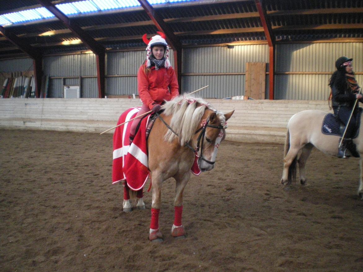 Haflinger Ferrari Bakkely - fastlan :) vandt i ringridning <3 så stolt :** billede 17