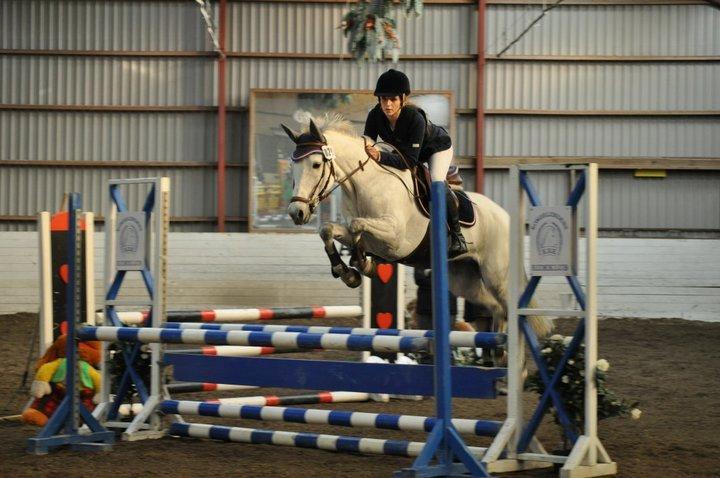 New Forest Rødtjørns Bellis *tidligere hest* - elsker dig <3 billede 5