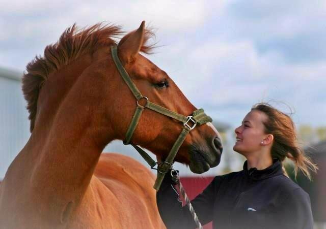 Anden særlig race Sir Thomas billede 5