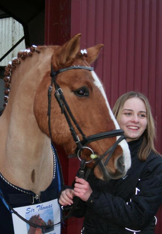 Anden særlig race Sir Thomas billede 6