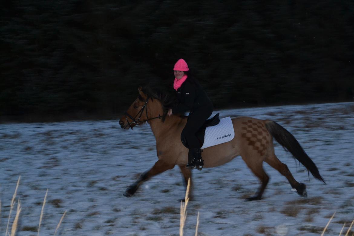 Anden særlig race lady<3 - fuld fart i mørket :) billede 13