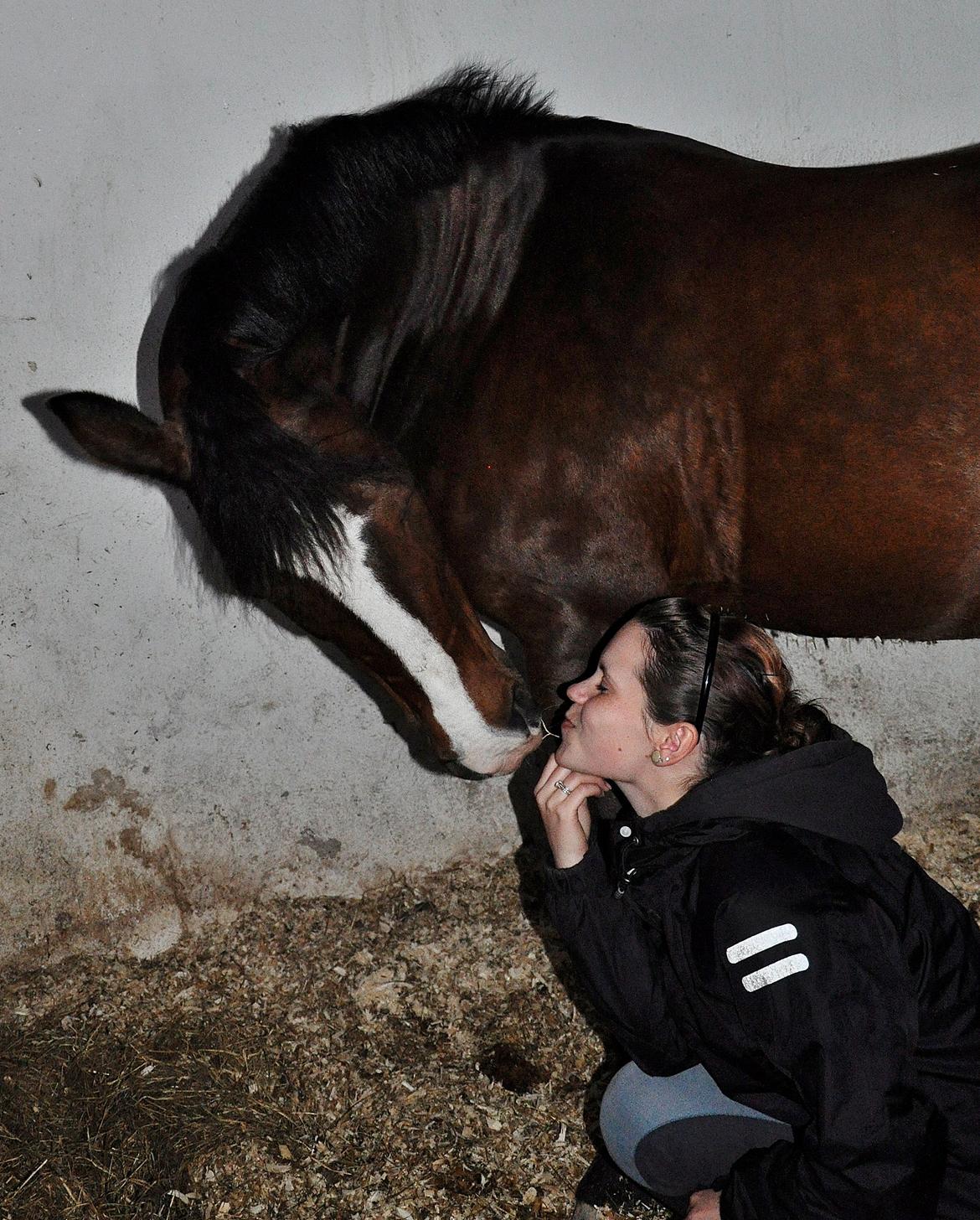 DSP Kelly - Dejligere pony findes ikke ♥ (foto: Cecilie Nybo) billede 4