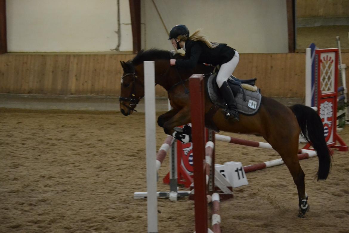 DSP LAZIONE KÆRLUND - Hans første LC i Arden billede 18