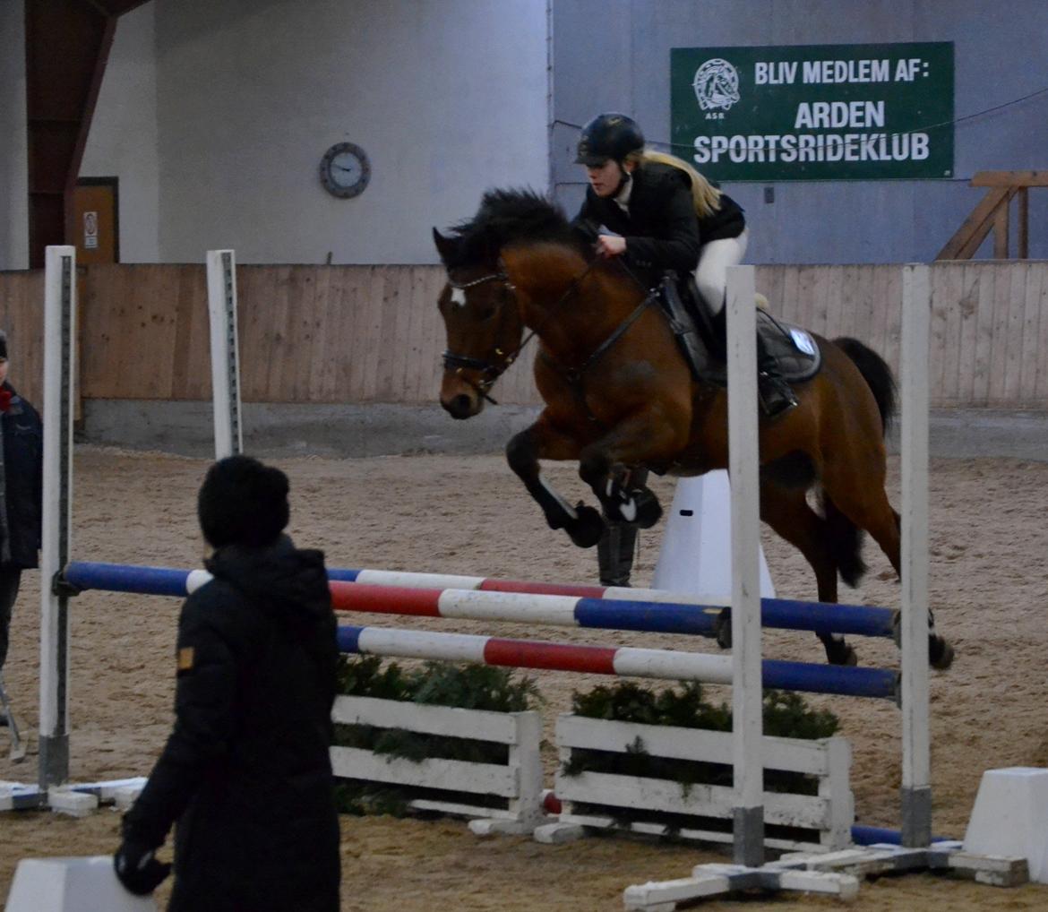 DSP LAZIONE KÆRLUND billede 4