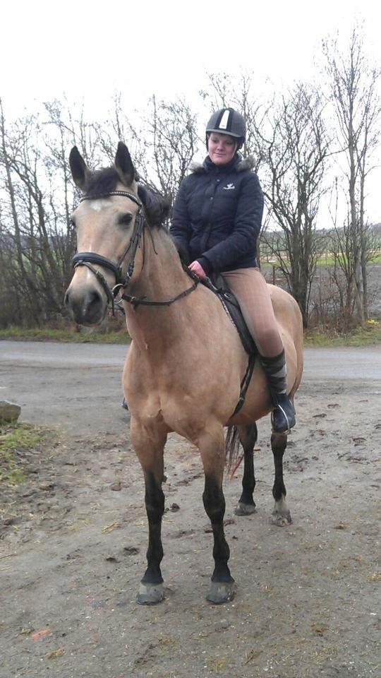 Palomino Skadekærs First Goldline (Grevinden) [Part] R.I.P - I sadlen igen 30 Januar 2013 <3. Har ikke redet hende siden Maj 2012 :-) billede 3
