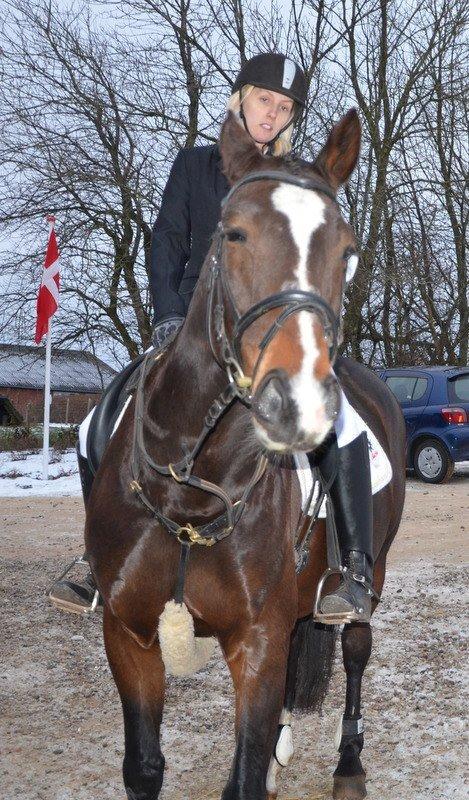 Dansk Varmblod tamara 9402182 R.I.P lever i vores hejerter billede 7