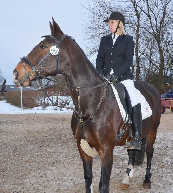 Dansk Varmblod tamara 9402182 R.I.P lever i vores hejerter billede 8