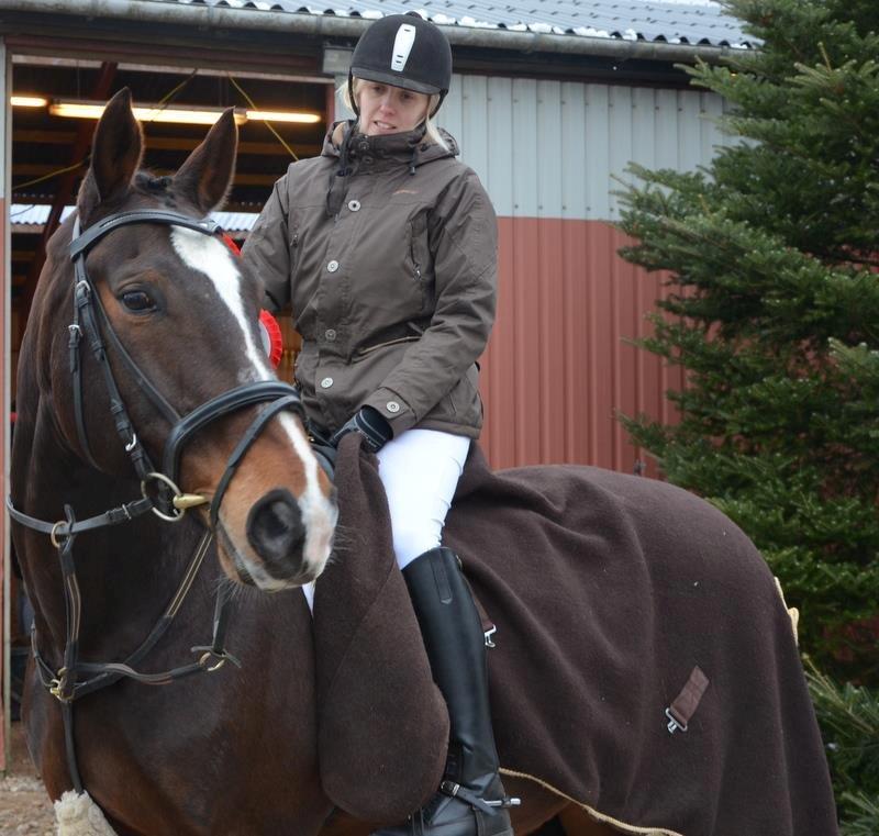 Dansk Varmblod tamara 9402182 R.I.P lever i vores hejerter billede 10