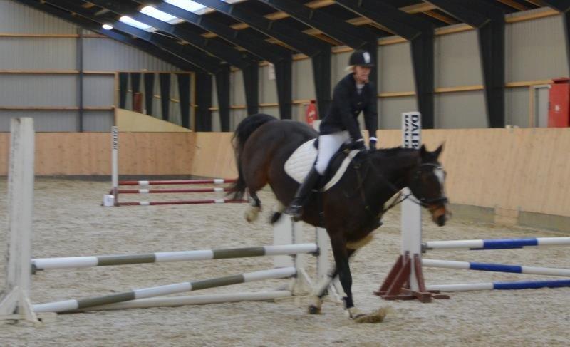 Dansk Varmblod tamara 9402182 R.I.P lever i vores hejerter billede 16