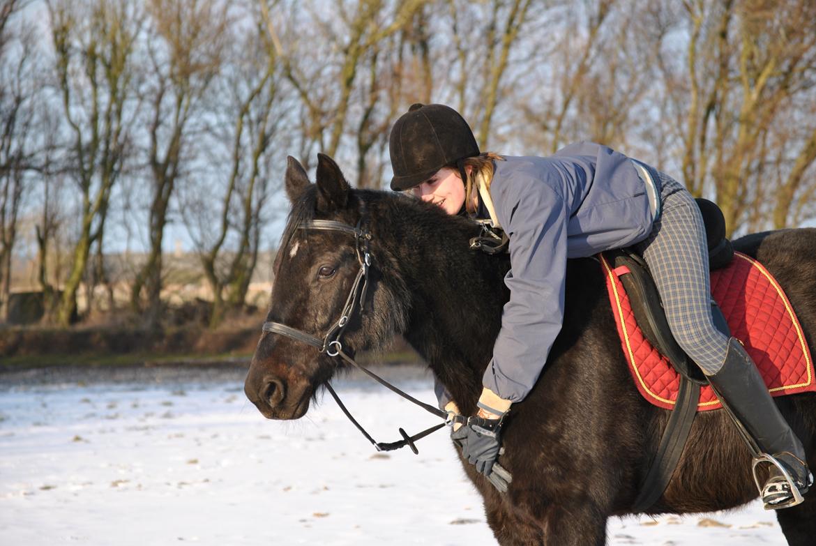 Traver Lucky Tail :)(aflivet 15-4-15) billede 1