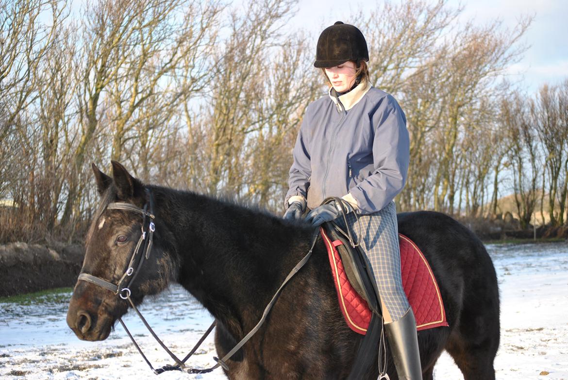 Traver Lucky Tail :)(aflivet 15-4-15) billede 12