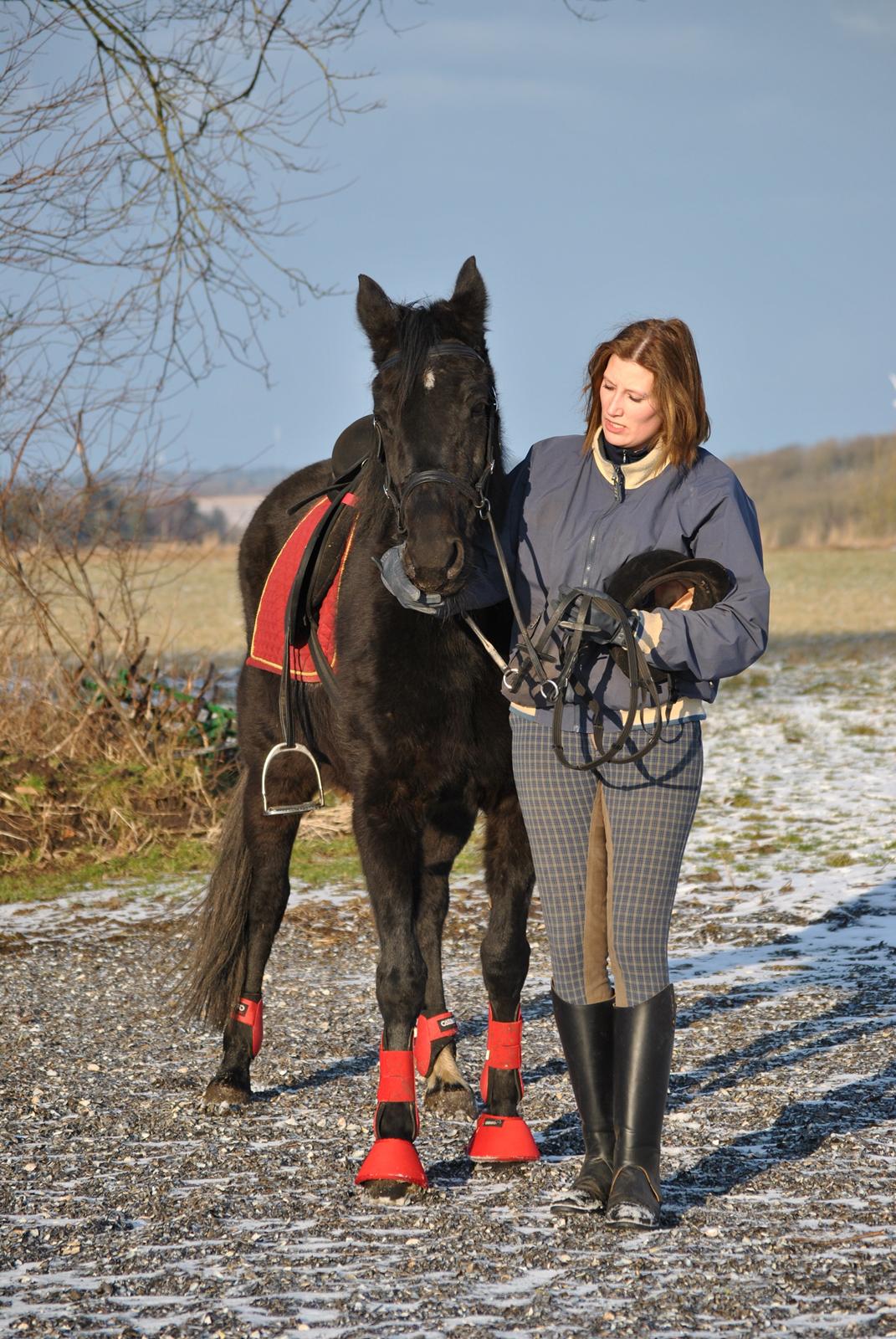Traver Lucky Tail :)(aflivet 15-4-15) billede 8