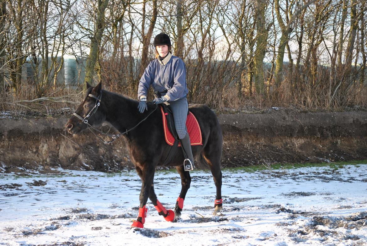 Traver Lucky Tail :)(aflivet 15-4-15) billede 10