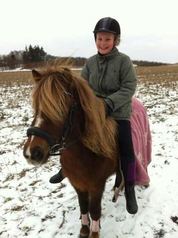 Shetlænder Maja:-*<3 - Elsker dig, søde<3 billede 14