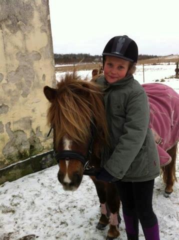 Shetlænder Maja:-*<3 - Den bedste<3 billede 16