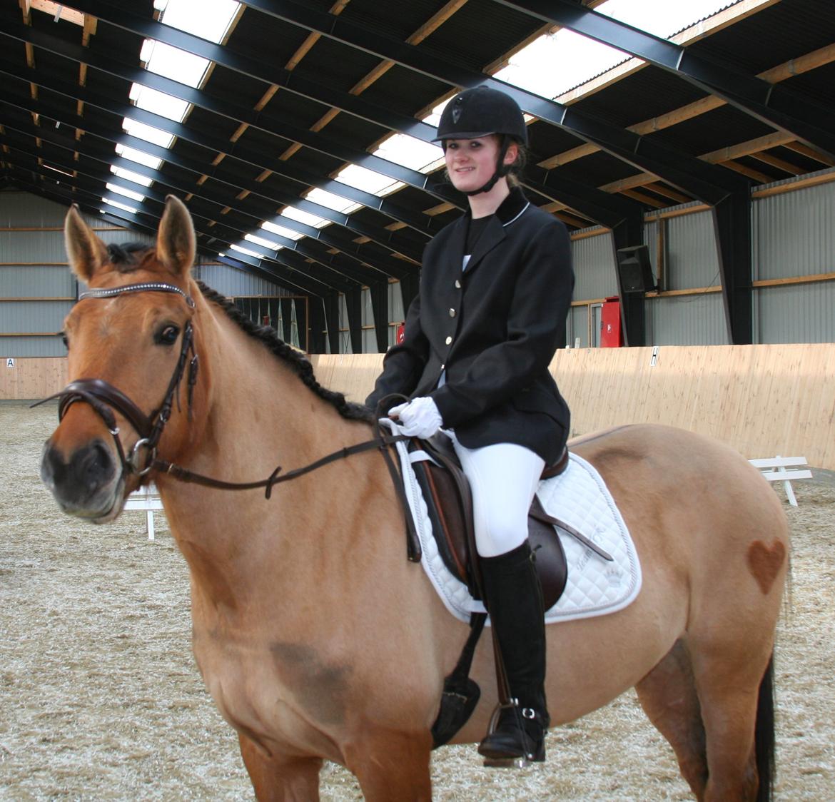 Anden særlig race Tequiro Sunset | Tio | <3 billede 19