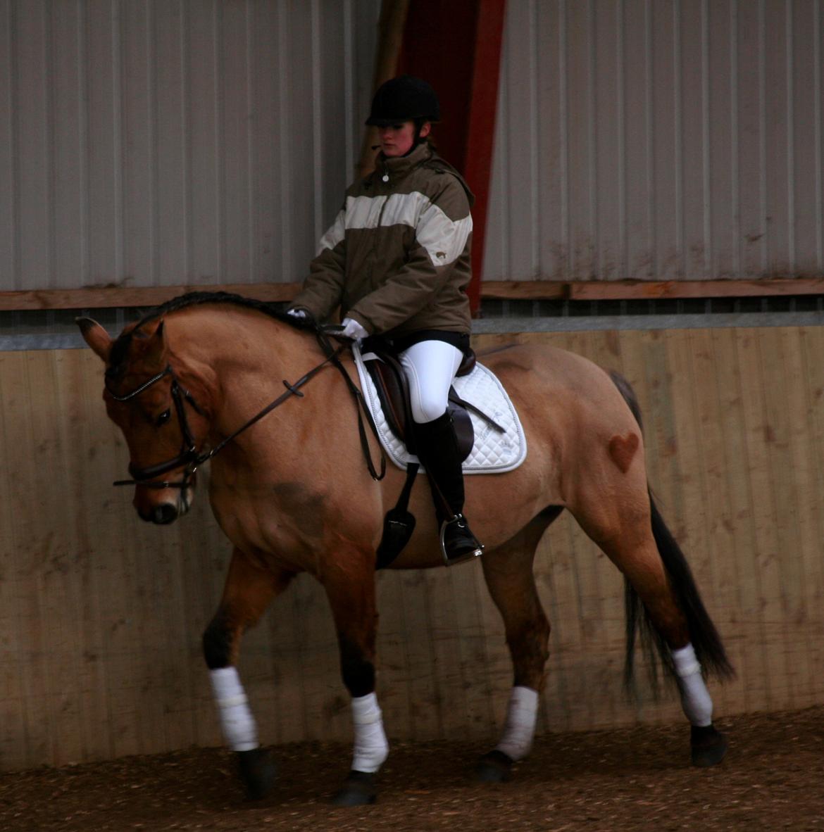 Anden særlig race Tequiro Sunset | Tio | <3 billede 20