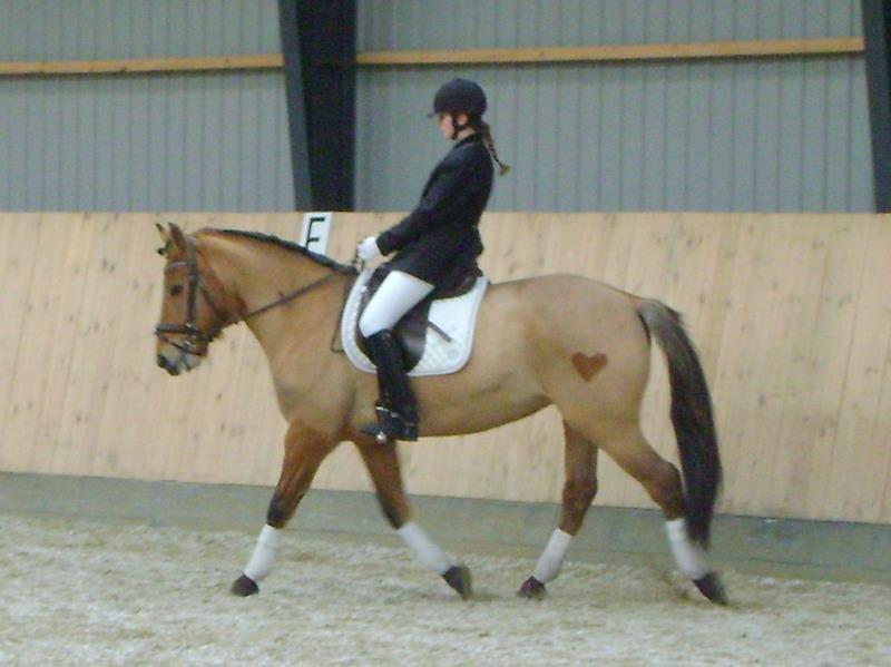 Anden særlig race Tequiro Sunset | Tio | <3 billede 3