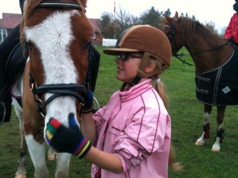 Pinto Indurain Delight - Den Brogede Skønhed - Min Dejlige Pony billede 34