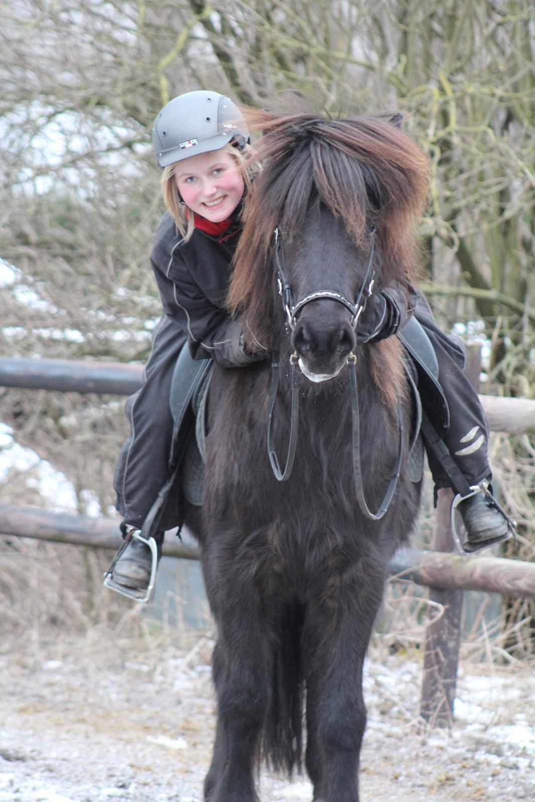 Islænder Framtið tindsgarði - Velkommen til Framtids profil! :-D billede 1