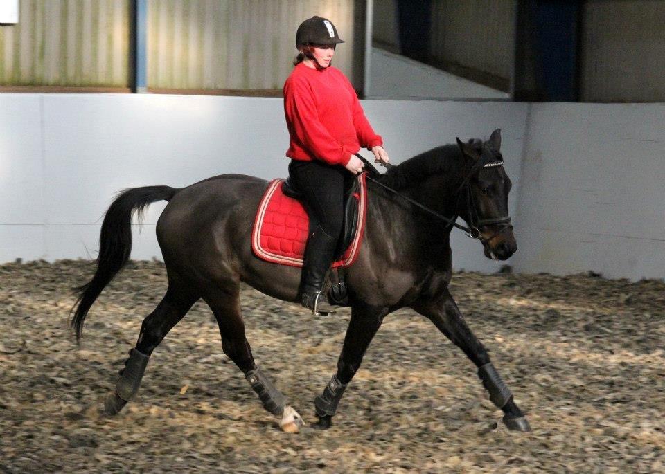 Anden særlig race Himmelhest Nightwish *DRØMMEHESTEN* - TAGET AF CHS PHOTO d.11-2-13 billede 5