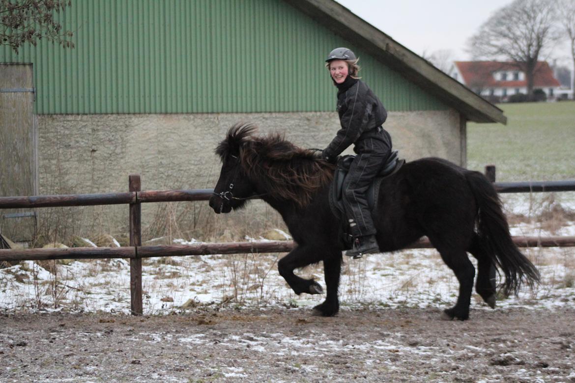 Islænder Framtið tindsgarði - Mit ansigt når tingene lykkedes! :-D billede 5