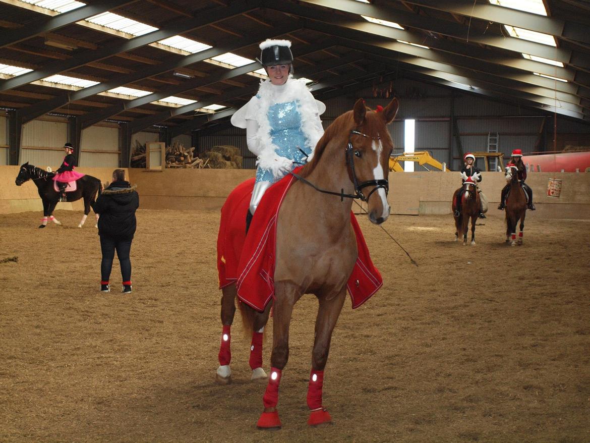 Anden særlig race Charlatan <3 - Fastelavn 2013, vi vandt for bedste udklædning ;) billede 14