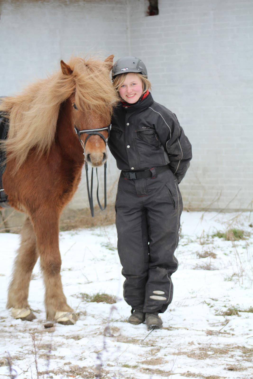 Islænder Halli langtved - Velkommen til Hallis profil! :-D billede 1