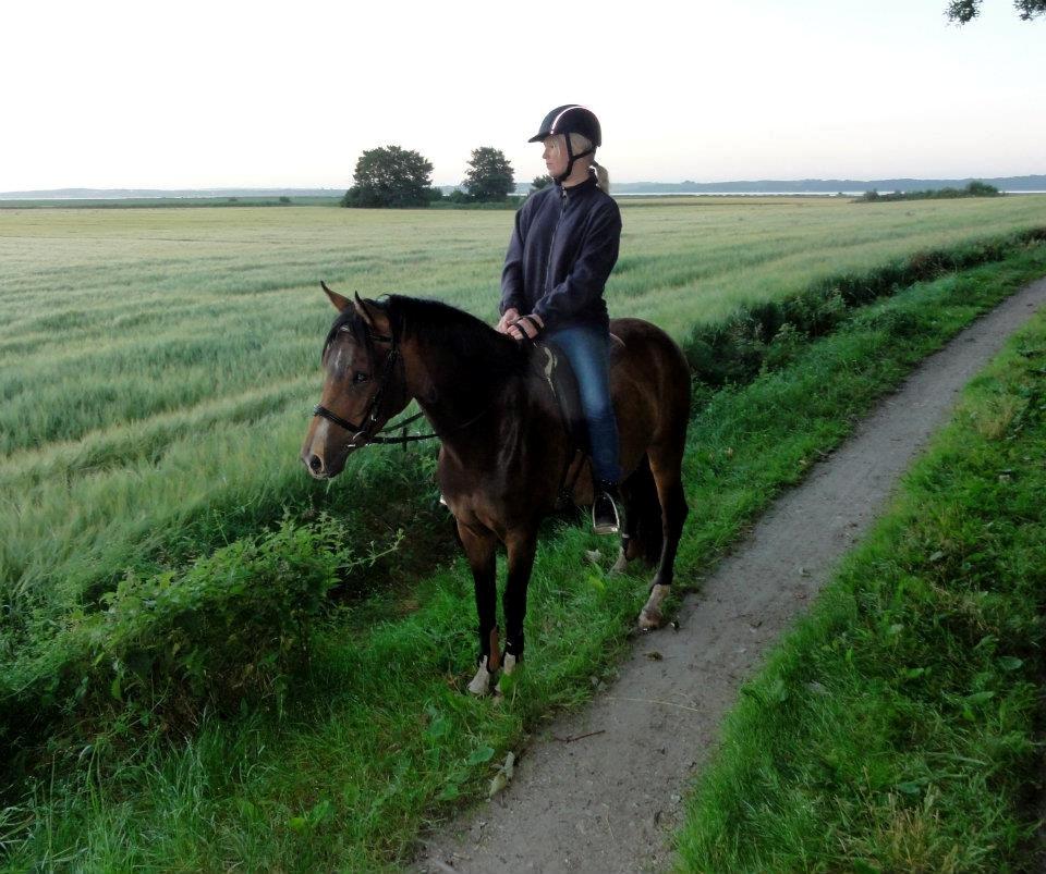 DSP Stidsbjergs Night Whisper - På tur, sommer 2012 billede 13